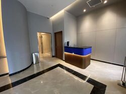 Mount Elizabeth Link (D9), Condominium #497013801